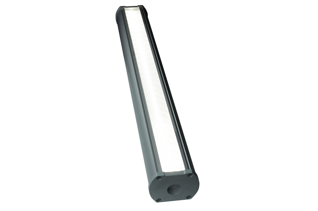 DSO 02-24-50D (1).png
